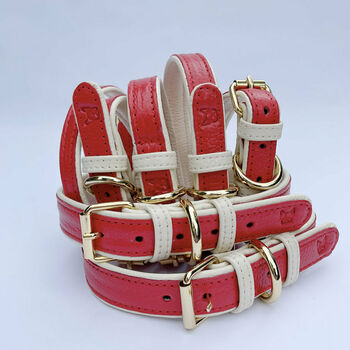 Handmade Italian Leather Padded Red Dog Puppy Collar, 2 of 7