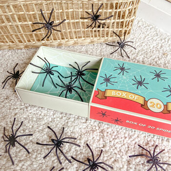Matchbox Of Spiders Or Slugs Children's Gift, 3 of 3