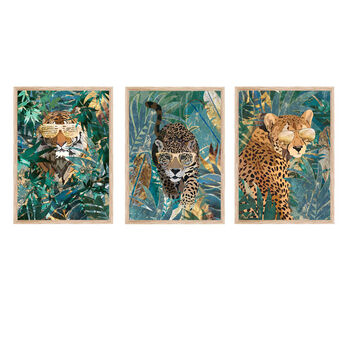 Framed Three Prints Big Cat Jungle Tiger Cheetah Jaguar, 6 of 6
