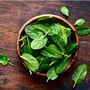 Vegetable Plants Spinach 'Renegade' Full Plant Pack, thumbnail 1 of 5