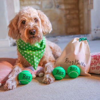 Personalised Tennis Balls And Matching Gift Bag, 3 of 12