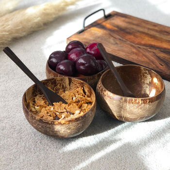 Eco Friendly Coconut Shell Bowls And Spoons, 4 of 6