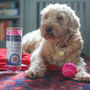 Personalised Dog Tennis Balls, thumbnail 1 of 12