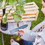 Grow Your Own Prosecco Style Sparkling Wine Gift Crate, thumbnail 3 of 9
