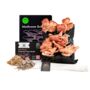 Oyster Mushroom Growing Kit, thumbnail 9 of 11