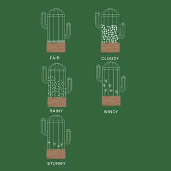 Cactus Storm Glass Weather Predictor, 3 of 3