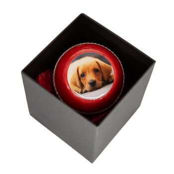 Personalised Cricket Ball Photo Printed, 5 of 9
