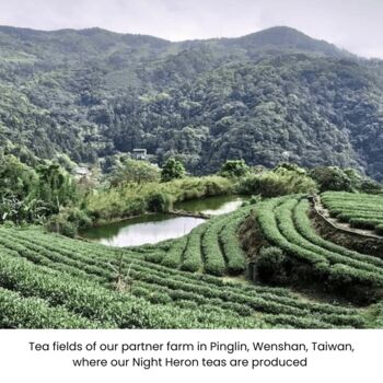 Tea Master Artisan Tea Collection, 8 of 8