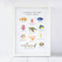 Animals Of The Coral Reef Art Print, thumbnail 2 of 2