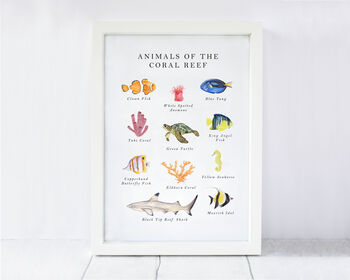 Animals Of The Coral Reef Art Print, 2 of 2