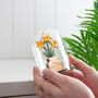 Wooden Daffodils In Glass Dome, thumbnail 1 of 2