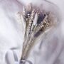 Letterbox Dried Flower Bouquet In Grey And Silver, thumbnail 4 of 4