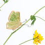 Butterflly Plant Hugger Decorations, thumbnail 4 of 8