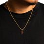 Gold Mini Red Tigers Eye Gemstone Pendant Necklace For Men, thumbnail 3 of 9