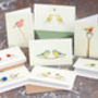 Boxed Collection Of Small Bird Gift Cards, thumbnail 1 of 4