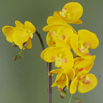 Yellow Orchid Artificial Golden Pot 48cm Real Touch, 3 of 3
