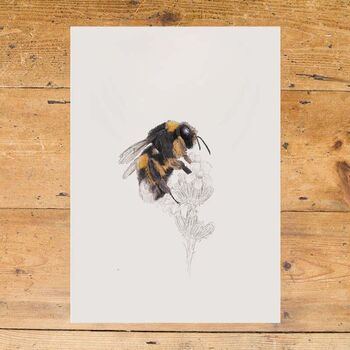 Bumblebee Giclée Art Print, 3 of 3