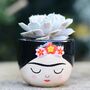 Hand Painted Mini Face Planter With Choice Of Plant, thumbnail 1 of 2