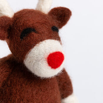 Reindeer Needle Felt Craft Kit, 7 of 7