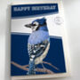 Blue Jay Bird Birthday Card, thumbnail 1 of 6