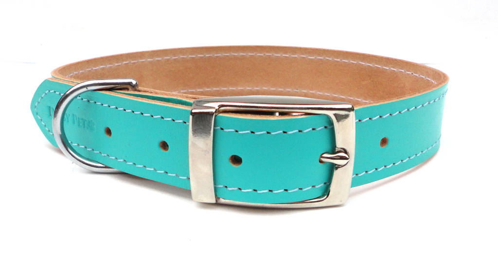 Mint Green Leather Dog Collar By Ditsy Pet | notonthehighstreet.com