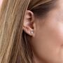Sterling Silver Forget Me Not Stud Earrings, thumbnail 1 of 6