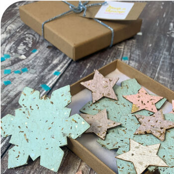 Snowflakes 'N' Stars Seed Paper Tokens Letterbox Gift, 2 of 4