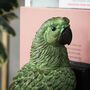 Set Of Parrot Bookends, thumbnail 4 of 5