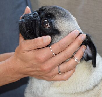 Adjustable Ring In Silver Or Gold, 7 of 12