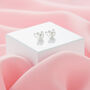 Children’s Sterling Silver Teddy Bear Pearl Earrings – First Pearl Earrings For Girls, thumbnail 2 of 4