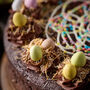Chocolate Easter Cake– 10 Inch Celebration Cake, thumbnail 3 of 3