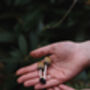 Short Guided Foraging Walk For Two In The South Downs, thumbnail 6 of 12