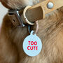 Cheeky Slogans Pet ID Tags, thumbnail 4 of 10