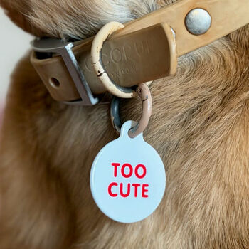 Cheeky Slogans Pet ID Tags, 4 of 10
