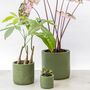 Handmade Eco Plant Pot | Dark Olive Green, thumbnail 4 of 6