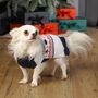 Scandi Snowflake Knitted Christmas Jumper For Dogs, thumbnail 2 of 5