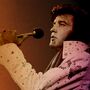 Official Elvis 2025 Personalised Calendar, thumbnail 4 of 4