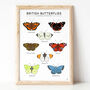 'British Butterflies' Print, thumbnail 2 of 2