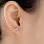 Sterling Silver Tiny Snail Stud Earrings, thumbnail 7 of 12