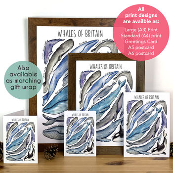 Whales Of Britain Art Blank Greeting Card, 3 of 9