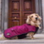 Waterproof Dachshund Underbelly Dog Coat, thumbnail 1 of 3