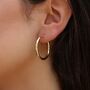 9ct Yellow Gold Polished Hoop Creole Earrings, thumbnail 1 of 4