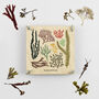 Seaweed Flower Press Kit, thumbnail 1 of 4