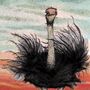 'Ostrich' Print, thumbnail 3 of 3