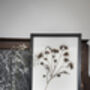 Original Pressed Flower Frame – A3 Echo Bloom Botanical Wall Art, thumbnail 5 of 7