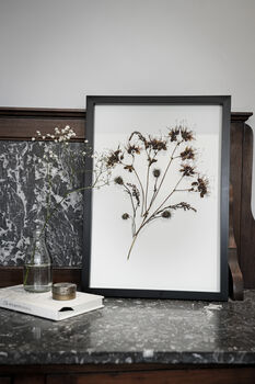 Original Pressed Flower Frame – A3 Echo Bloom Botanical Wall Art, 5 of 7