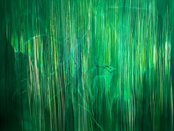 Green Abstract Art, 4 of 8