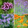 Grow Your Own Flower Garden Wall Calendar 2024, thumbnail 7 of 10