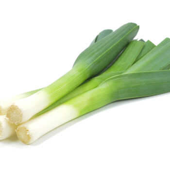 Leek Plants Jolant Three X Plug Plant Pack, 7 of 7