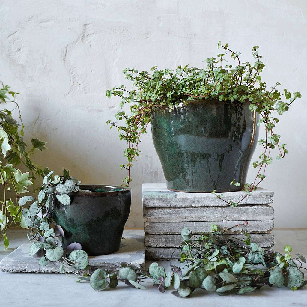 dark forest green glaze ceramic planter pot by lilac coast